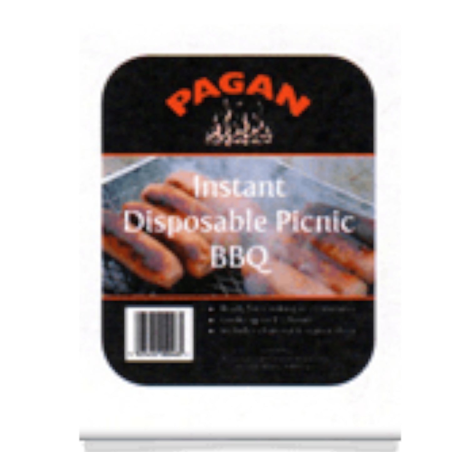 Small Disposable BBQ